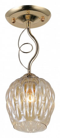 Фото Светильник на штанге Rivoli Daiane Б0054740