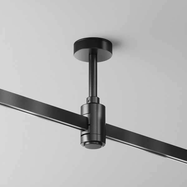 Фото Подвес для трека Maytoni Accessories for tracks Flarity TRA156C-B1-B