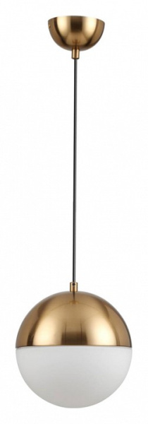 Фото Подвесной светильник Odeon Light Pinga 4960/1A