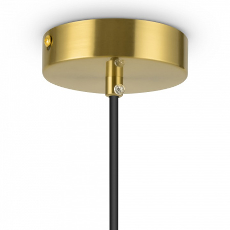 Фото Подвесной светильник Freya Eleon FR5218PL-01BS