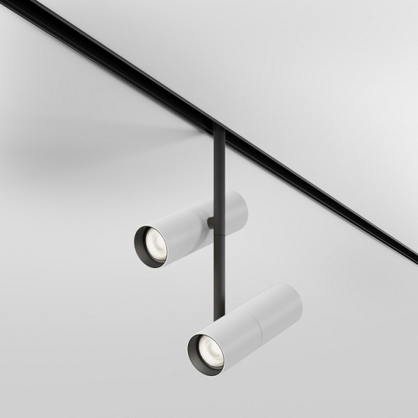 Фото Светильник на штанге Maytoni Elti Duo TR005-4-2X12W-DS-BW