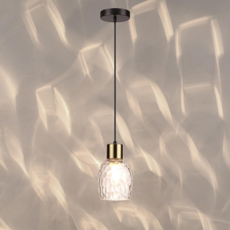 Фото Подвесной светильник Lumion Ice 6562/1A