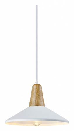 Фото Подвесной светильник Moderli Luce V1571-1P