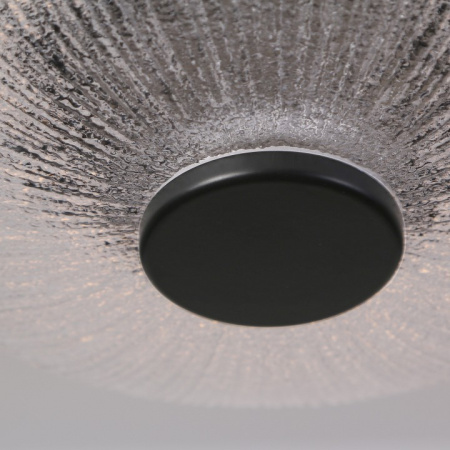 Открыть Подвесной светильник Favourite Wilet 4656-1P Фото Подвесной светильник Favourite Wilet 4656-1P