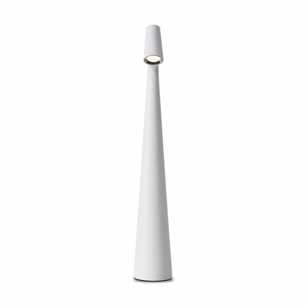 Фото Настольная лампа декоративная Freya Clam FR6188TL-L3W