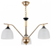 Фото Подвесная люстра Escada Actinidia 2123/3P