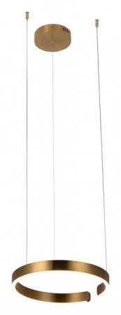 Фото Подвесной светильник Loft it Ring 10013S