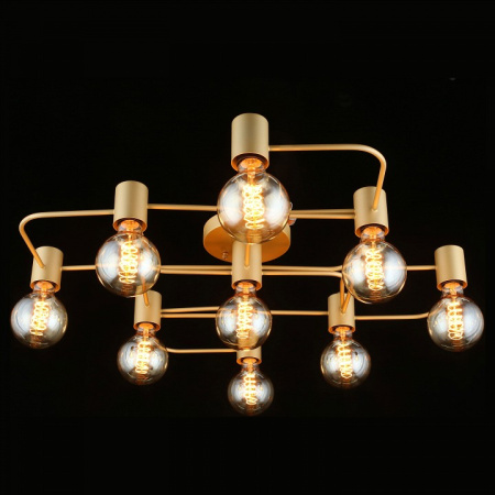 Фото Потолочная люстра Aployt Elison APL.911.07.09