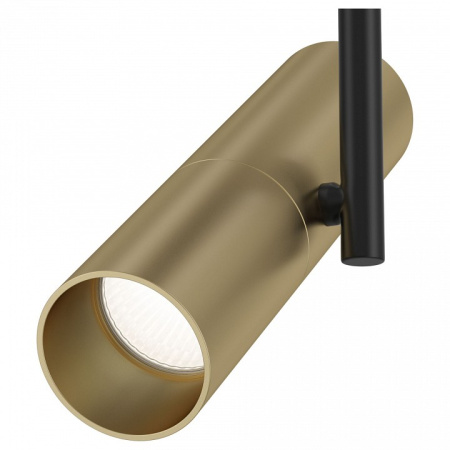 Фото Спот Maytoni Elti C020CL-01GB