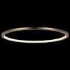 Фото Подвесной светильник Loft it Ring 10014M