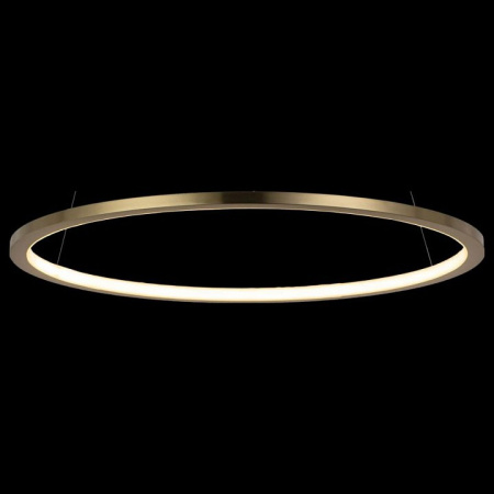 Фото Подвесной светильник Loft it Ring 10014M