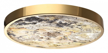 Фото Накладной светильник Odeon Light Bergi 5079/40L