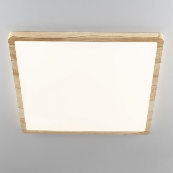 Фото Накладной светильник Citilux Бейсик CL738K502V