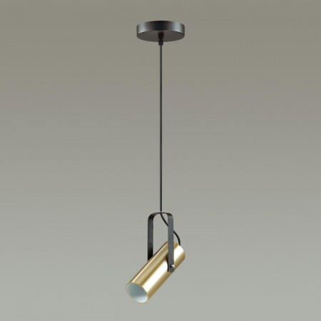 Фото Подвесной светильник Lumion Claire 3714/1