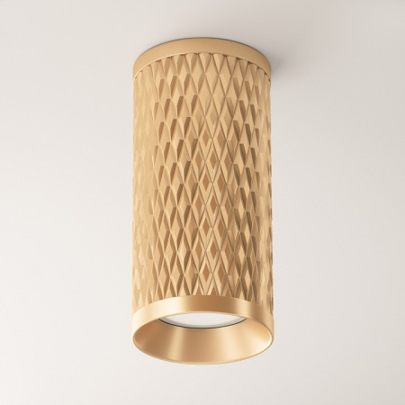 Фото Накладной светильник Maytoni Focus Design C036CL-01G