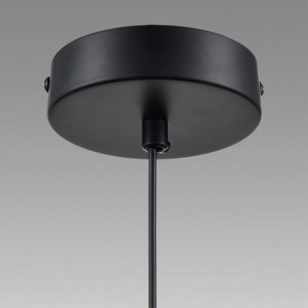 Фото Подвесной светильник Lumion Isha 8101/1A