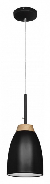 Фото Подвесной светильник Loft it Watchman LOFT4402A-BL