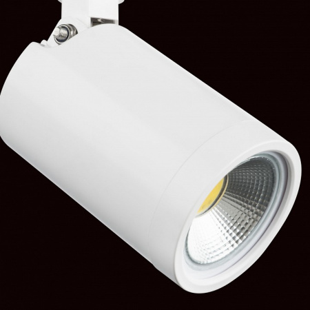 Фото Светильник на штанге Lightstar Rullo 212936