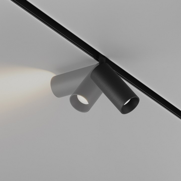 Фото Светильник на штанге Maytoni Focus LED TR032-4-5WTW-S-DD-B