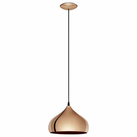 Фото Подвесной светильник Eglo Hapton 49449