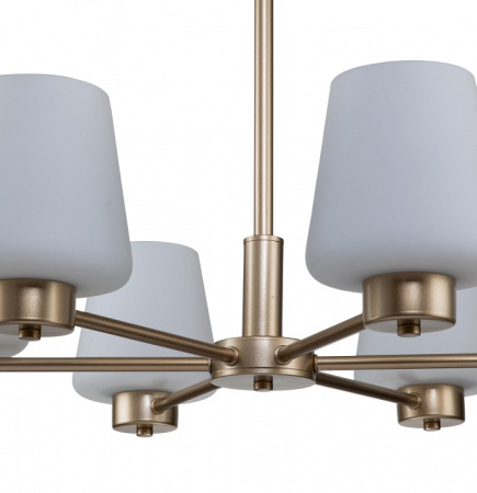 Открыть Подвесная люстра Indigo Tulip 13004/6P Gold Фото Подвесная люстра Indigo Tulip 13004/6P Gold