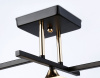 Открыть Люстра на штанге Ambrella Light TR TR303114 Фото Люстра на штанге Ambrella Light TR TR303114