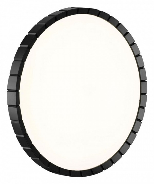 Фото Накладной светильник Sonex Atabi Black 7649/DL