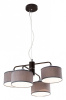 Фото Подвесная люстра Citilux Форма CL428241
