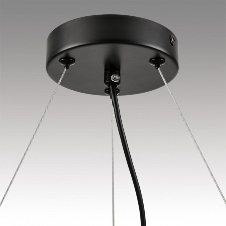 Фото Подвесная люстра Lumion Natalina 8232/6