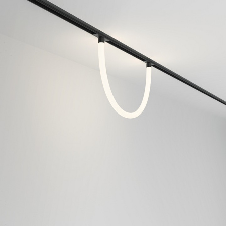 Фото Подвесной светильник Maytoni Tau TR101-2-20W4K-B