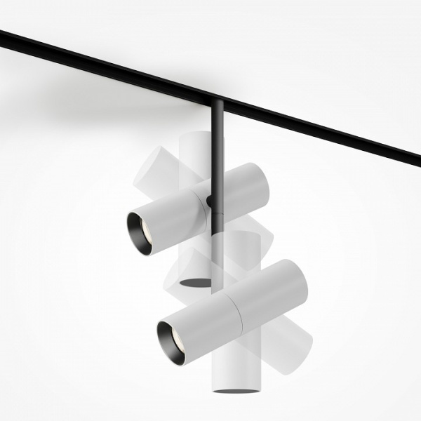 Фото Светильник на штанге Maytoni Elti Duo TR005-4-2X12W-DS-BW