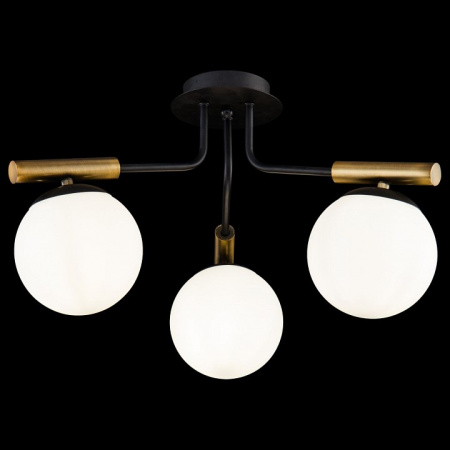 Фото Потолочная люстра Freya Paolina FR5011CL-03B