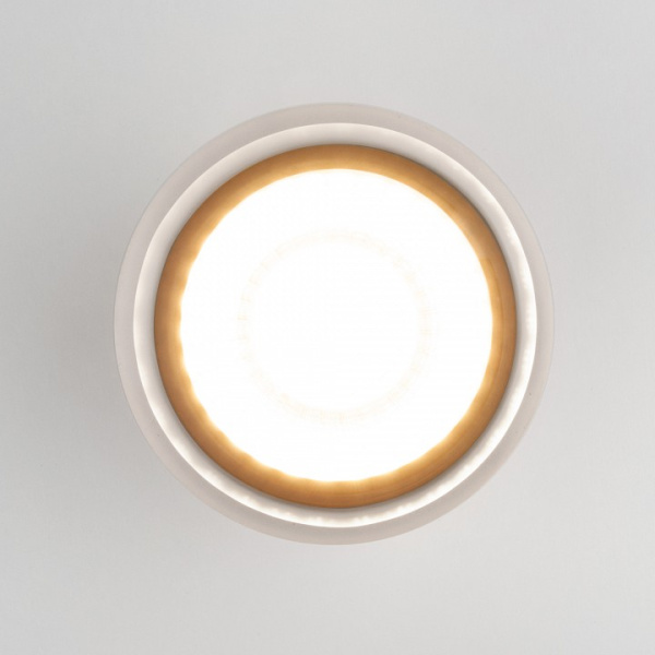 Фото Накладной светильник Elektrostandard Light LED a057160