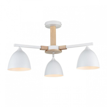 Фото Люстра на штанге Lumion Colange 8095/3C