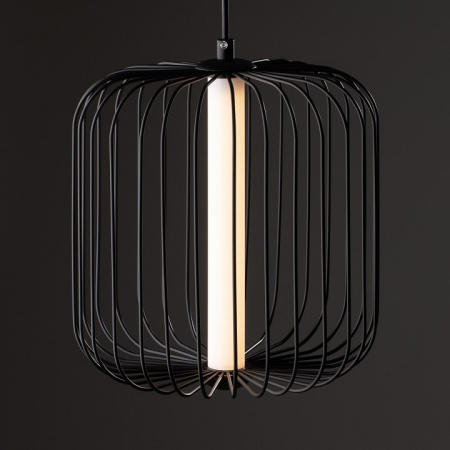 Фото Подвесной светильник Freya Sabi FR6131PL-L13B