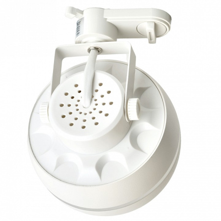 Фото Светильник на штанге Feron AL168 48552