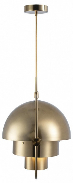 Фото Подвесной светильник Loft it Multi-Lite LOFT9915-C
