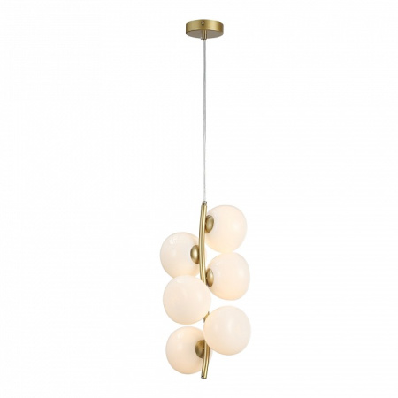 Фото Подвесная люстра ST-Luce Sweven SL1519.303.06