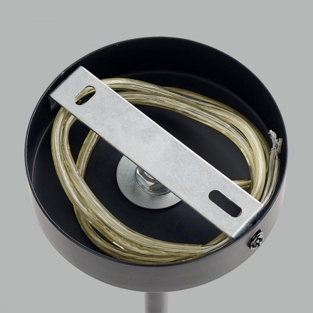 Фото Люстра на штанге Lumion Melody 6581/6