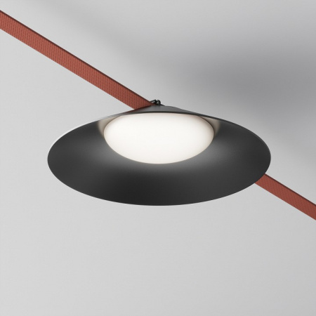 Фото Подвесной светильник Maytoni Campana TR127B-12W4K-B