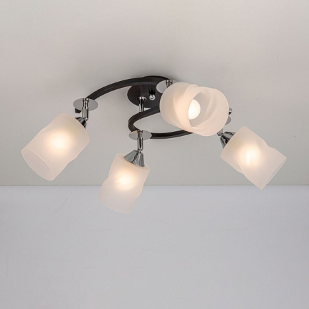 Фото Потолочная люстра Citilux Сиерра CL119241