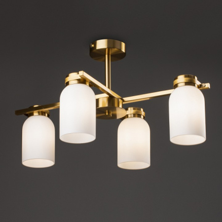 Фото Люстра на штанге Freya Kamelia FR5446PL-04BS1