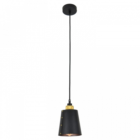 Фото Подвесной светильник Lussole Shirley LSP-9861