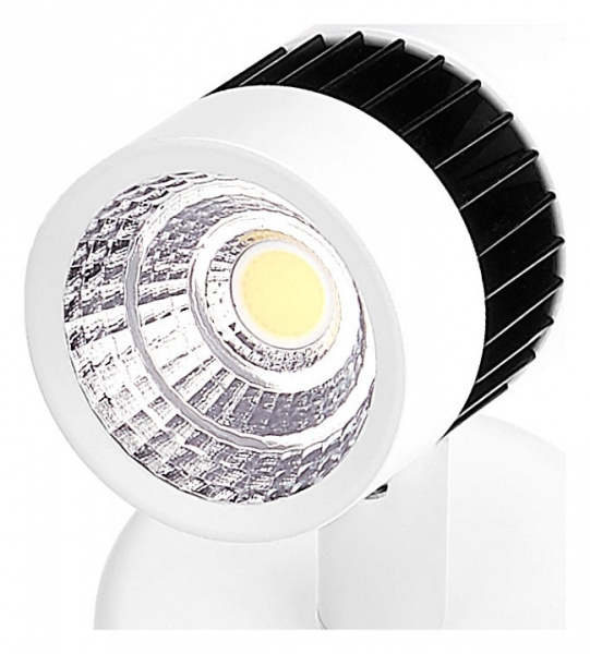 Фото Спот Ambrella Light Techno Spot TN101/10W WH/BK