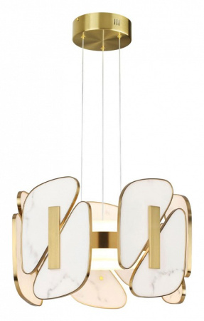 Фото Подвесная люстра Odeon Light Chiara 6638/45L