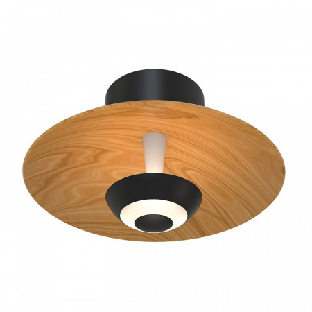 Фото Накладной светильник Favourite Rueda 4288-1W