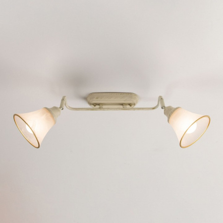 Фото Спот Citilux Прованс CL511524