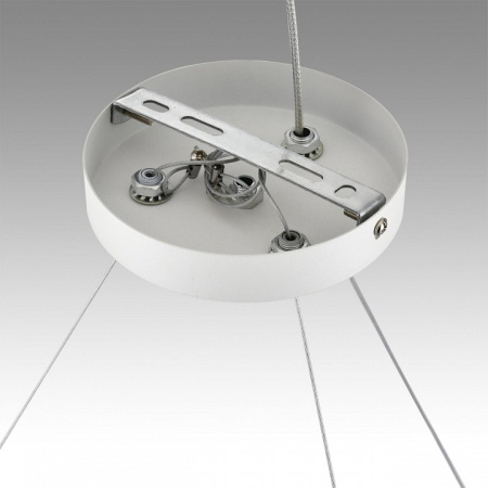 Фото Подвесная люстра Lumion Luazana 8254/9