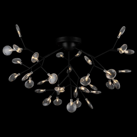 Фото Потолочная люстра Freya Florencia FR5049CL-36B