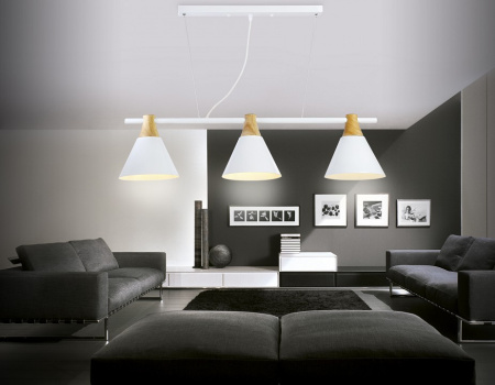 Фото Подвесной светильник Ambrella Light TR TR8196